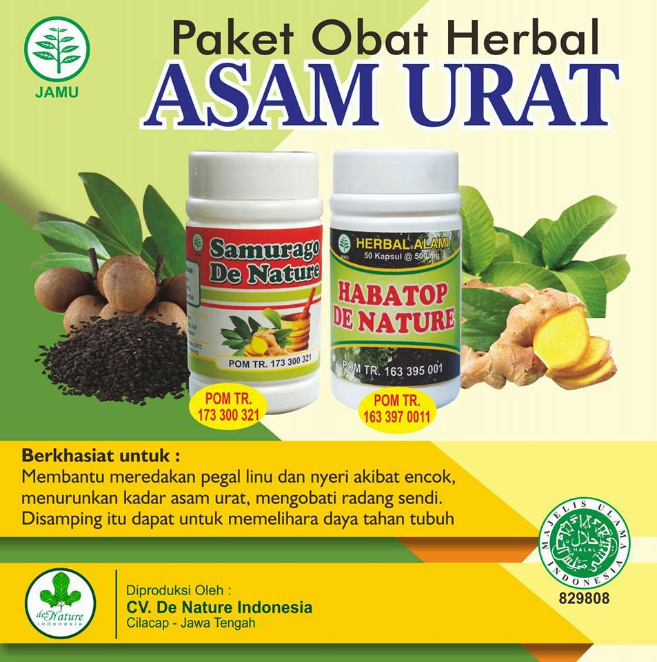 Paket herbal obat asam urat