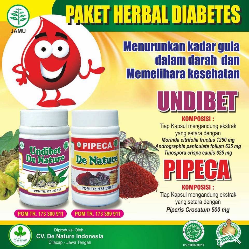obat diabetes alami manjur